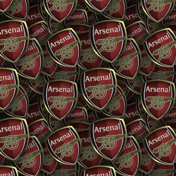 Arsenal FC 24