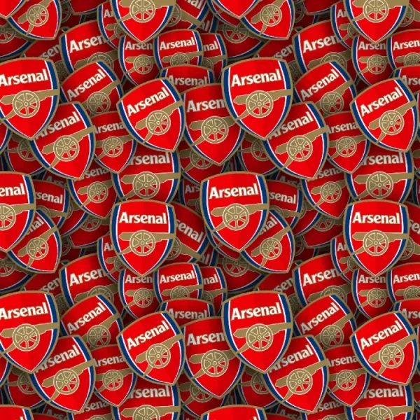 Arsenal FC 22