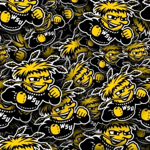 Wichita State University Shockers 24