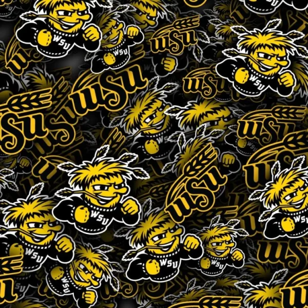 Wichita State University Shockers 22