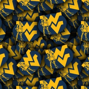 West Virginia University 24