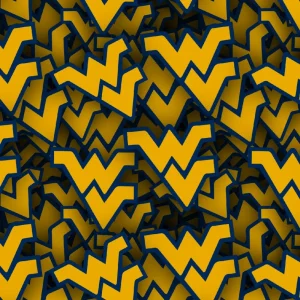West Virginia University 23
