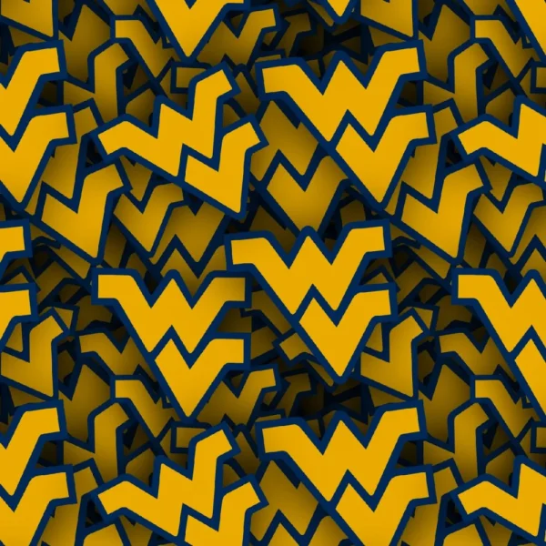 West Virginia University 23