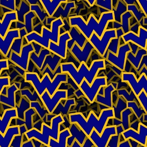 West Virginia University 22