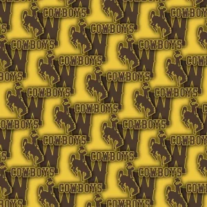 University of Wyoming Cowboys 23