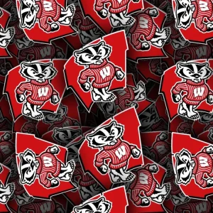 University of Wisconsin-Madison Badgers