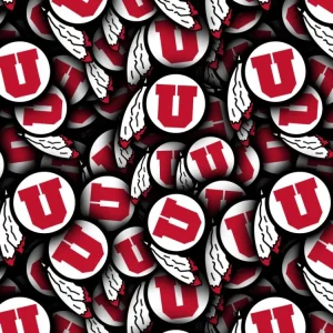University of Utah