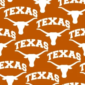 University of Texas Longhorns 24