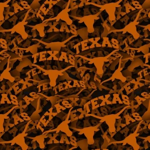 University of Texas Longhorns 23