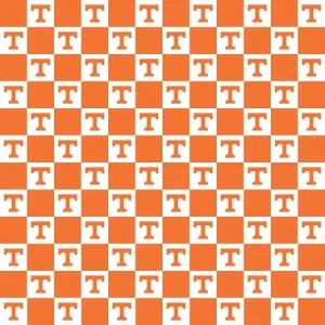 University of Tennessee 22