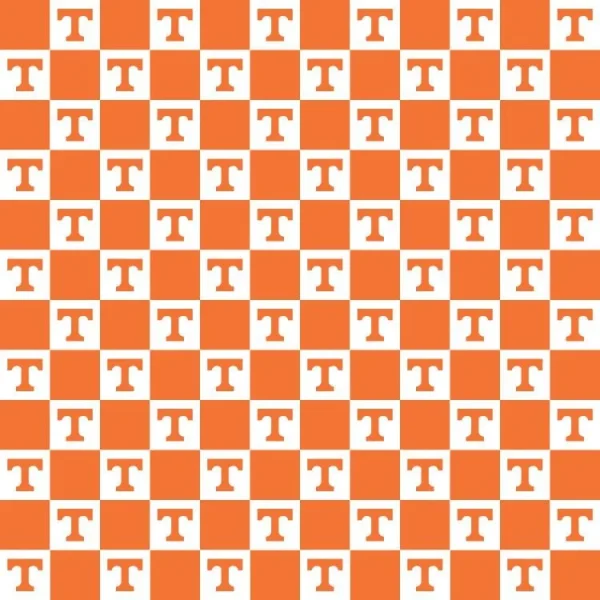 University of Tennessee 22