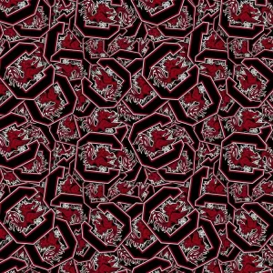 University of South Carolina Gamecocks 22
