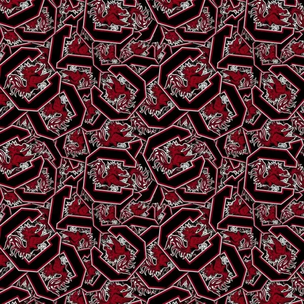 University of South Carolina Gamecocks 22