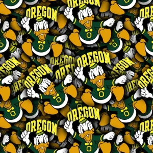 University of Oregon Ducks 22