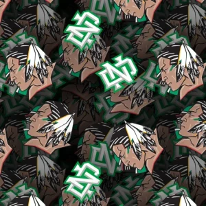 University of North Dakota