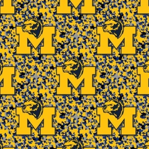 University of Michigan Wolverines 23