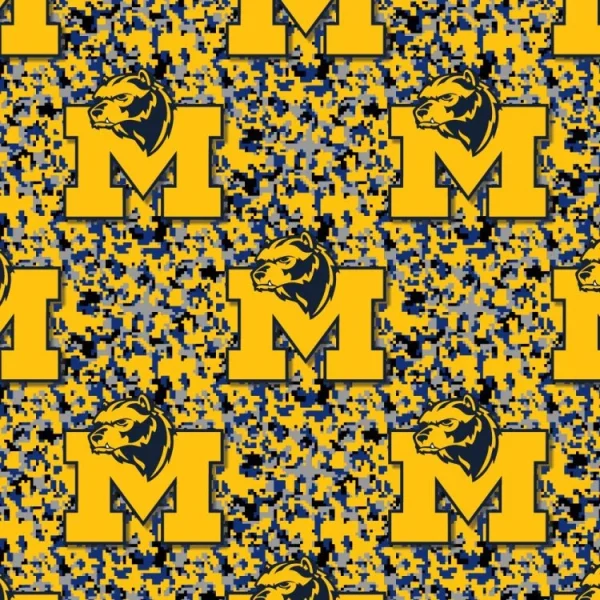 University of Michigan Wolverines 23