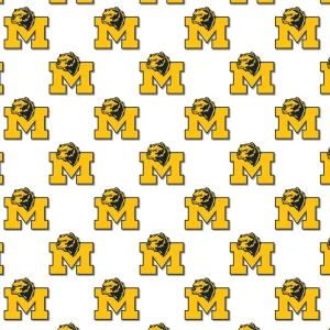 University of Michigan Wolverines 22