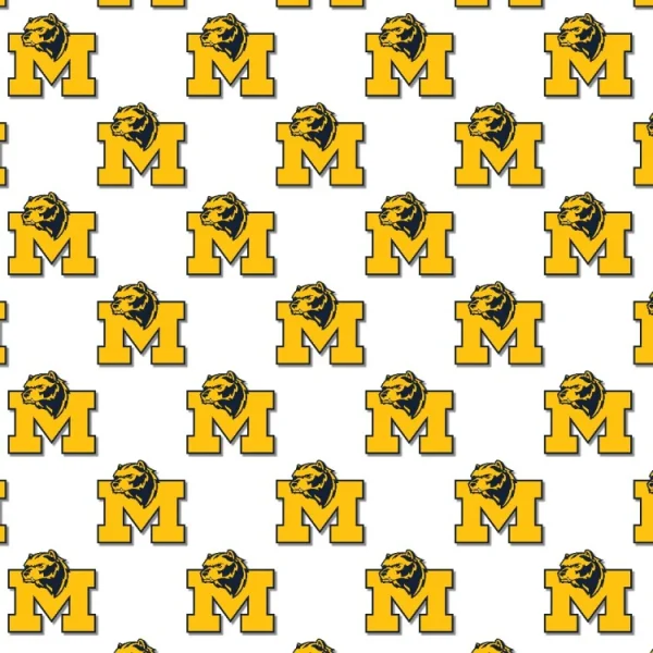 University of Michigan Wolverines 22