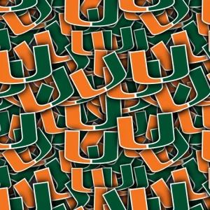 University of Miami Hurricanes 22