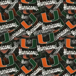 University of Miami Hurricanes 3D