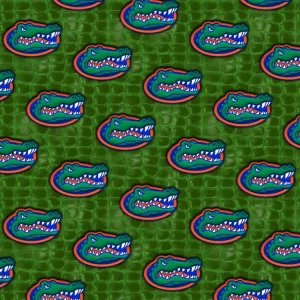University of Florida Gators 24
