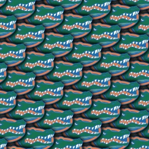 University of Florida Gators 23