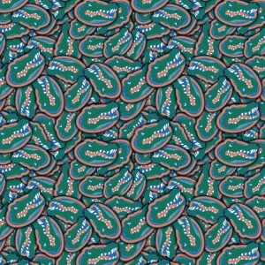 University of Florida Gators 22