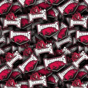 University of Arkansas Razorbacks
