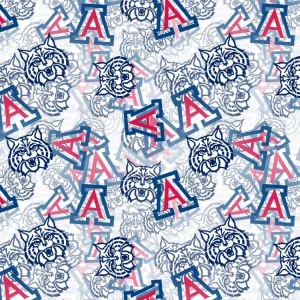 University of Arizona 25