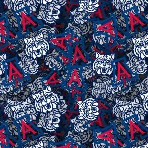 University of Arizona 24