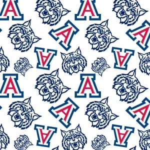 University of Arizona 23