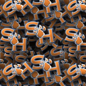 Sam Houston State University Bearkats