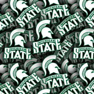Michigan State University 23