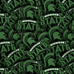 Michigan State University 22