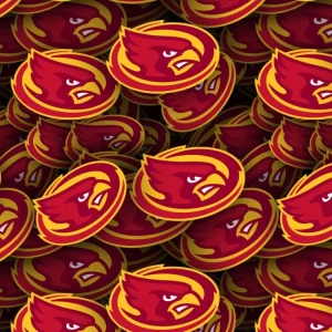 Iowa State University Cardinals