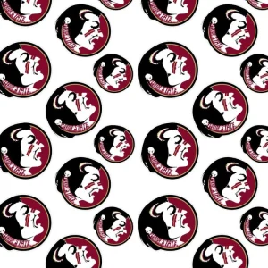 Florida State University Seminoles 24