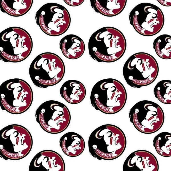 Florida State University Seminoles 24