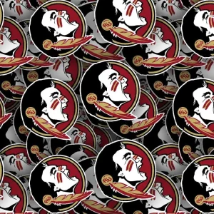 Florida State University Seminoles 23