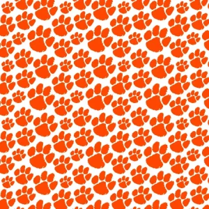 Clemson University Tiger Paw 27