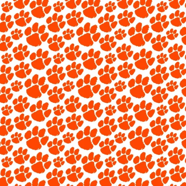 Clemson University Tiger Paw 27