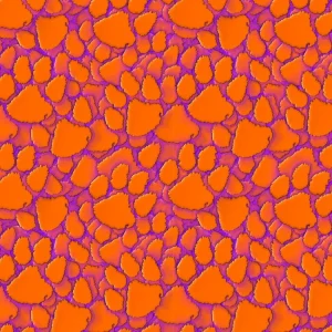 Clemson University Tiger Paw 24