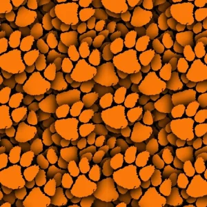 Clemson University Tiger Paw 22