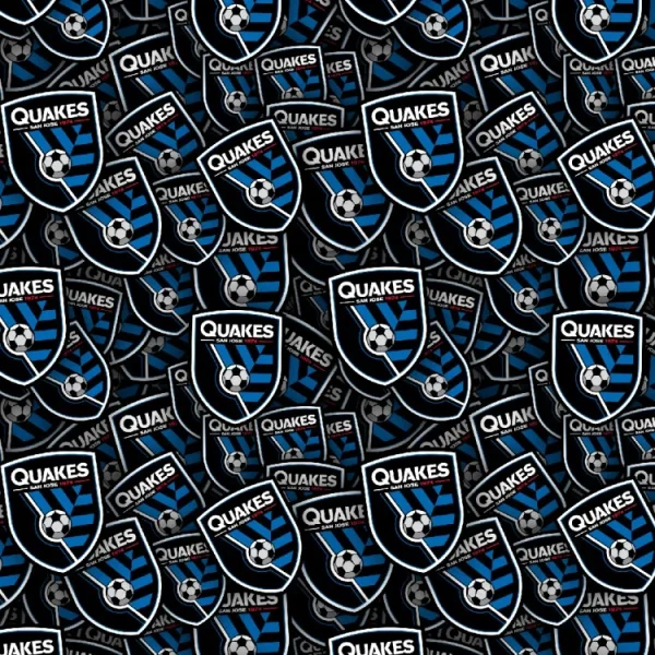 San Jose Earthquakes 22