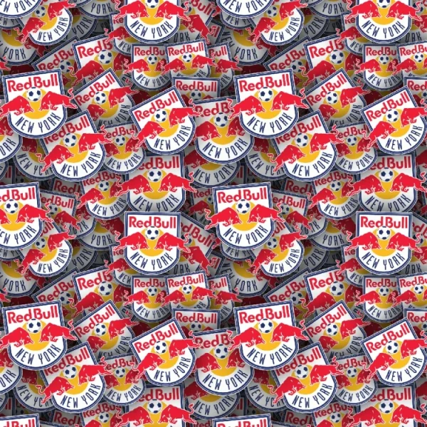 New York Red Bulls 22