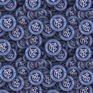 New York City FC 22