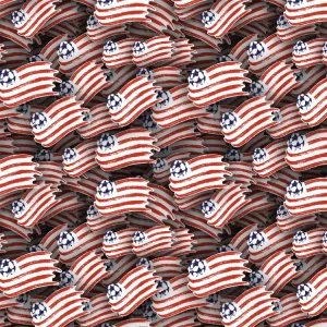 New England Revolution 22