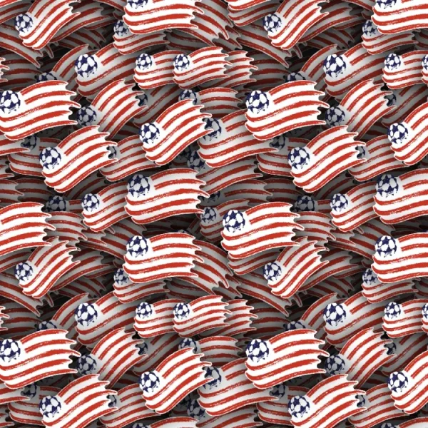 New England Revolution 22