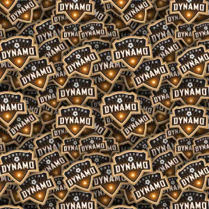 Houston Dynamos 22