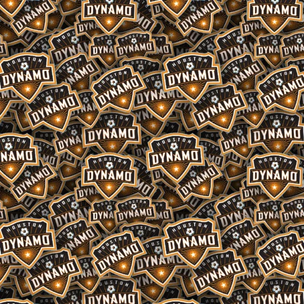 Houston Dynamos 22